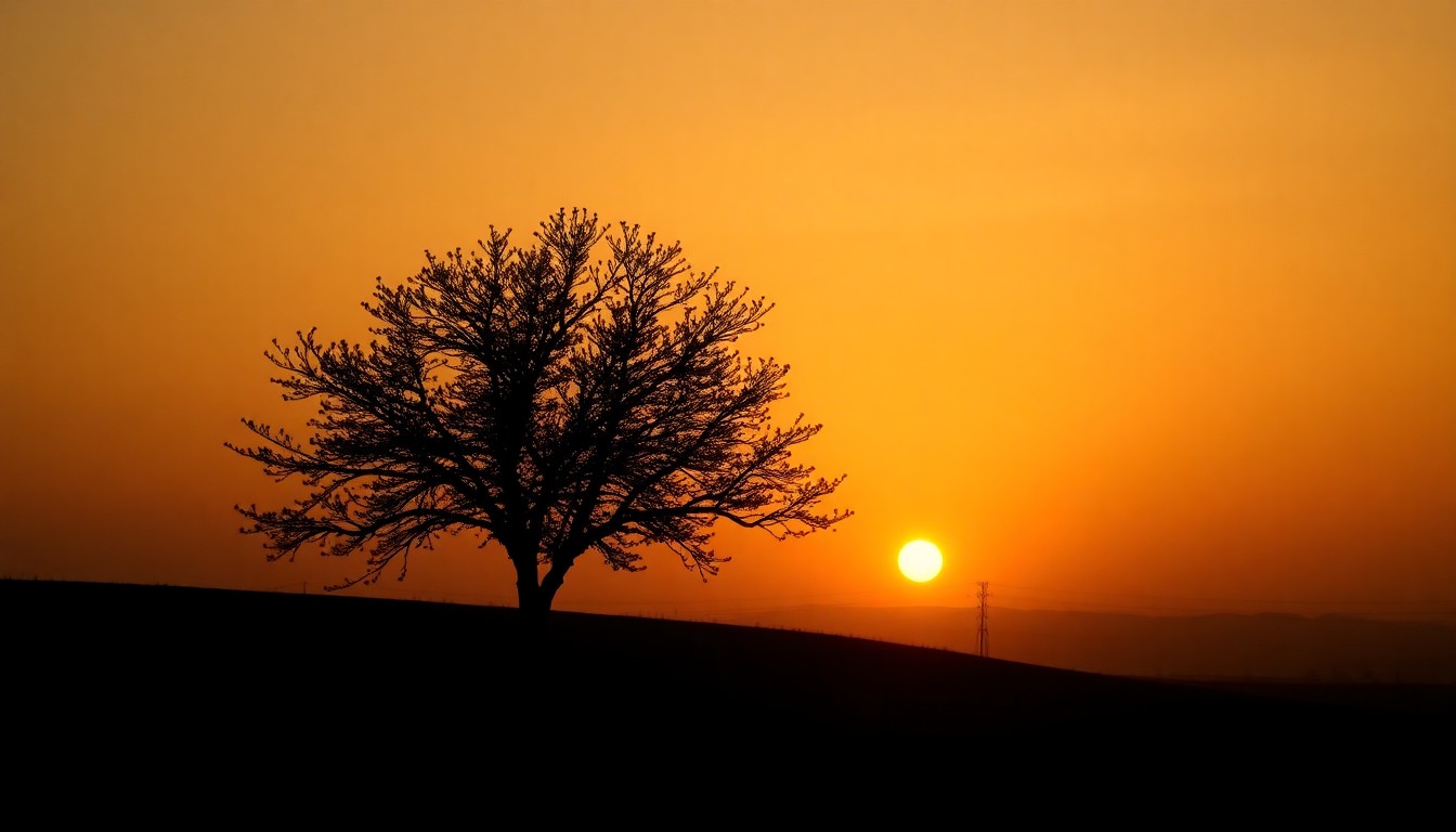 野村康太の最新の活動